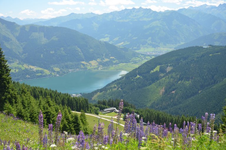 Pohled ze Sonnkogelu na Zell am See a jezero