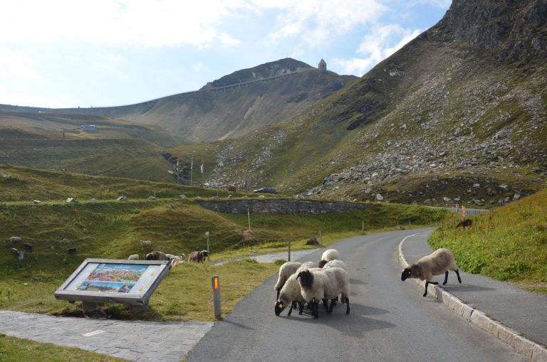 Grossglockner - Hochalpenstrasse